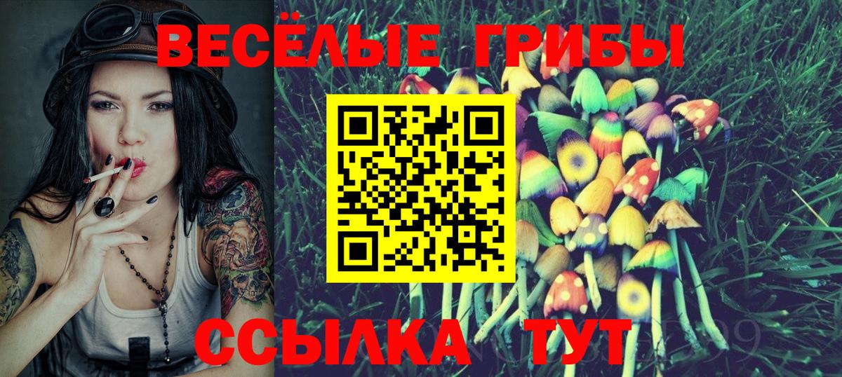 Галлюциногенные грибы прущие грибы  Вход с VPN  Вятские Поляны 